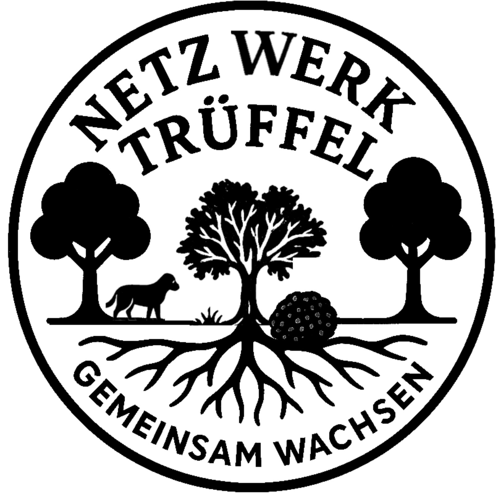 Bildschirmfoto 2026 02 24 um 16.13.10